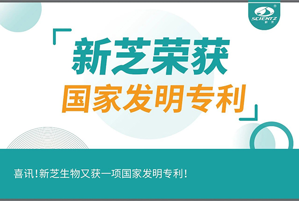 喜讯！ylzzcom永利总站线路检测又获一项国家发明专利！