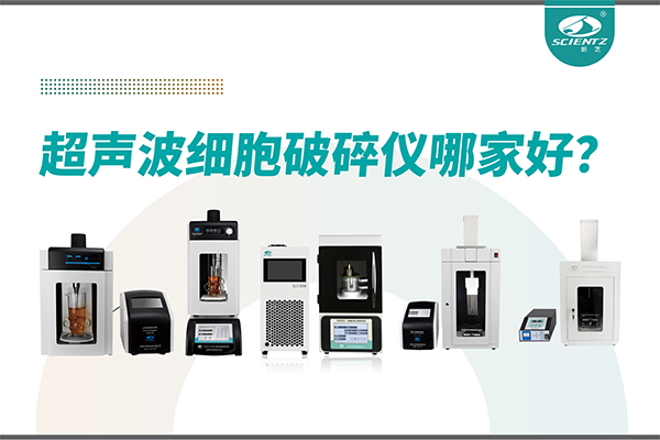 超声波破碎仪厂家推荐：深耕本土，服务全球-宁波ylzzcom永利总站线路检测