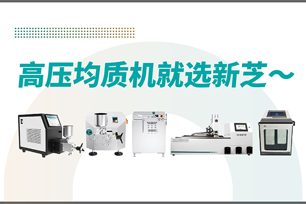 高压均质机哪家好？宁波ylzzcom永利总站线路检测-高压均质机厂家推荐