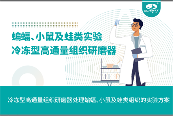 冷冻型高通量组织研磨器处理蝙蝠、小鼠及蛙类组织的实验方案