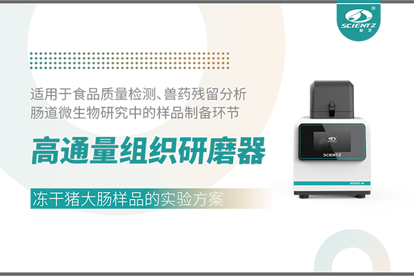 高通量组织研磨器处理冻干猪大肠样品的实验方案