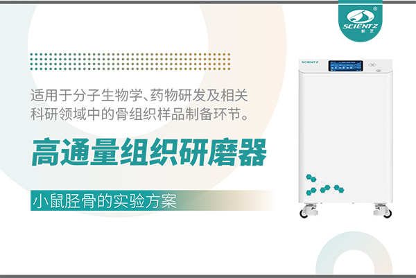 高通量组织研磨器处理小鼠胫骨样品的实验方案
